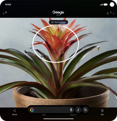 Draw a circle around the required object on the picture and wait for the search results.