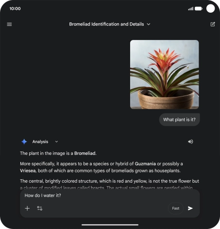 Follow the instructions on the screen to type or speak more questions to continue the conversation.