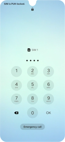 Key in a new four-digit PIN and press OK.