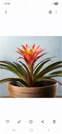 Go to the required picture.