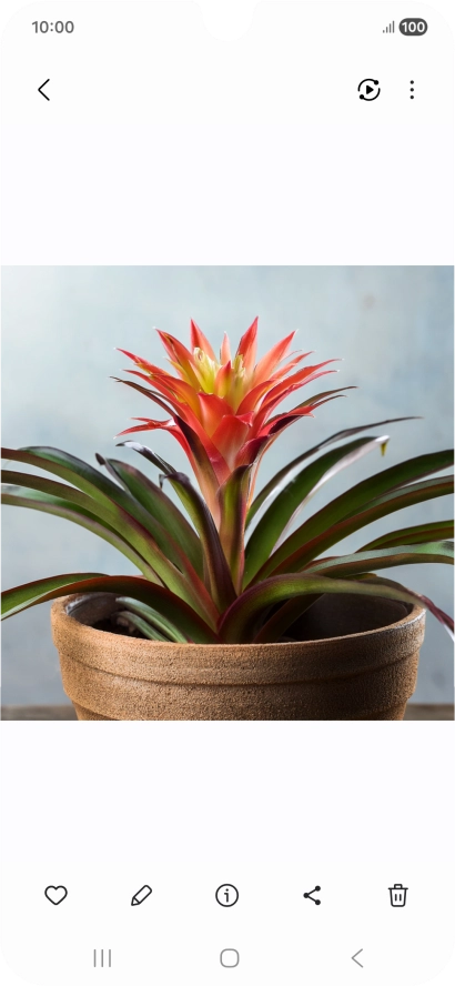 Go to the required picture.