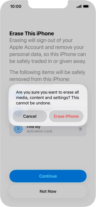 Press Erase iPhone.