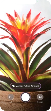 For information about animals and plants, press the information field. For information about animals and plants, press the information field.