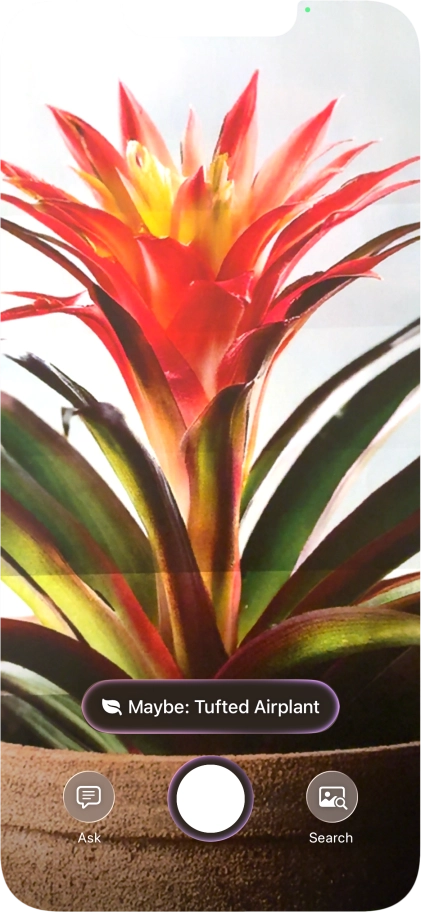 For information about animals and plants, press the information field. For information about animals and plants, press the information field.