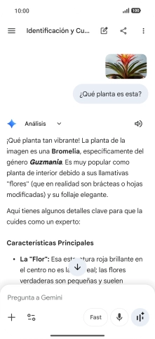 Sigue las indicaciones de la pantalla para escribir o decir en alto la pregunta deseada. Puedes adjuntar fotografías o documentos y hacer preguntas acerca de ellos.