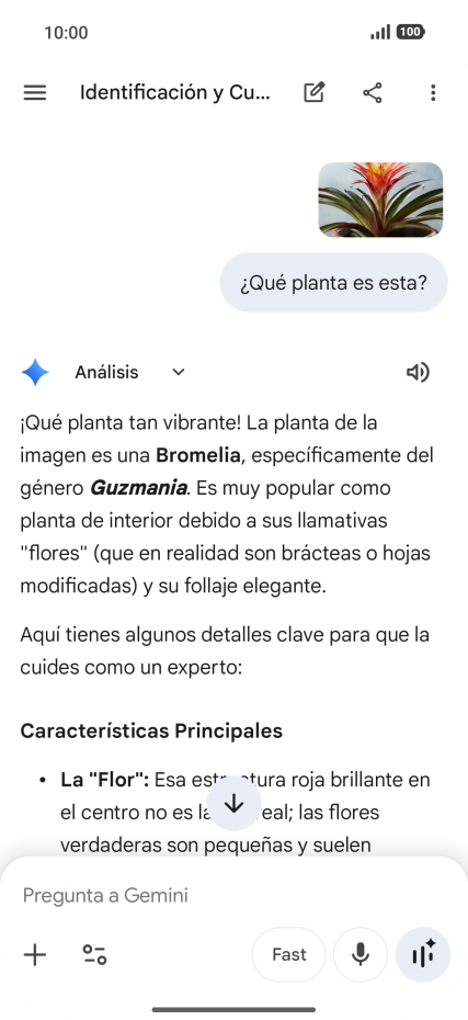 Sigue las indicaciones de la pantalla para escribir o decir en alto la pregunta deseada. Puedes adjuntar fotografías o documentos y hacer preguntas acerca de ellos.
