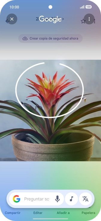 Rodea con un círculo el elemento deseado de la fotografía y espera a que aparezcan los resultados de búsqueda.