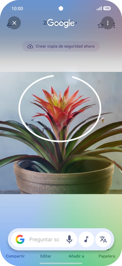 Rodea con un círculo el elemento deseado de la fotografía y espera a que aparezcan los resultados de búsqueda.