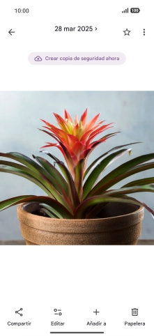 Desplázate a la fotografía deseada.