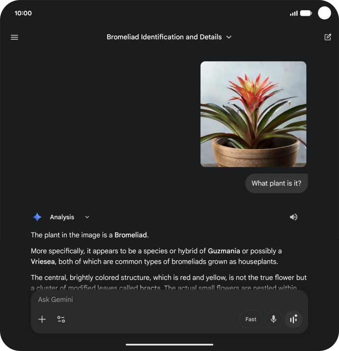 Follow the instructions on the screen to type or speak the required question. You can also attach pictures or documents and ask questions to them.