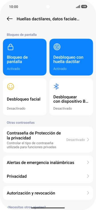 Pulsa Bloqueo de pantalla.