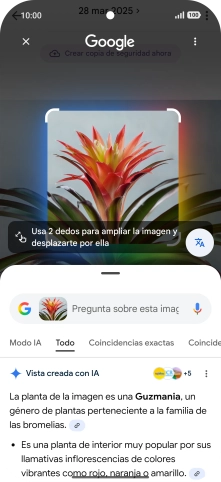 Sigue las indicaciones de la pantalla para utilizar los resultados de búsqueda.