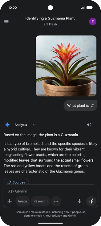Follow the instructions on the screen to type or speak the required question. You can also attach pictures or documents and ask questions to them.