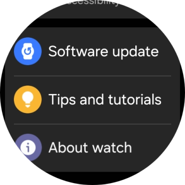 Press Software update.