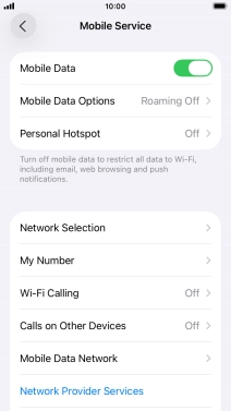 Press Mobile Data Options.