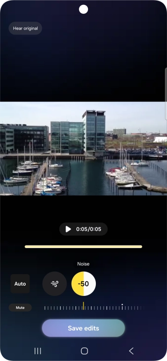 Press Mute to completely remove the selected audio type from the video.