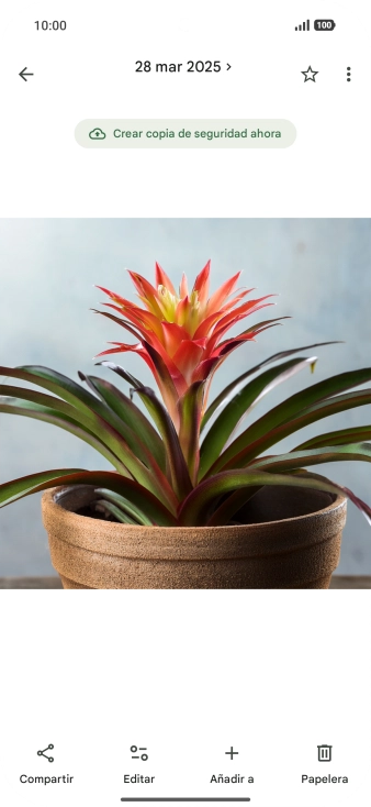 Desplázate a la fotografía deseada.