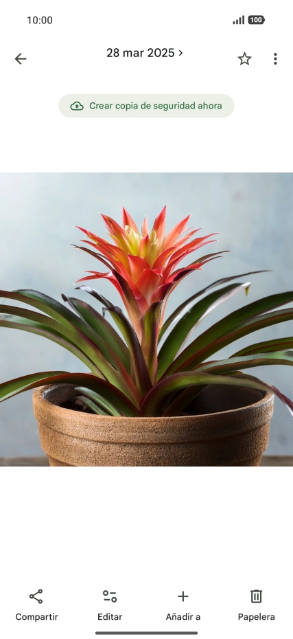 Desplázate a la fotografía deseada.