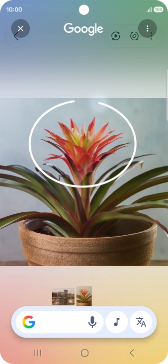 Draw a circle around the required object on the picture and wait for the search results.