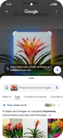 Sigue las indicaciones de la pantalla para utilizar los resultados de búsqueda.