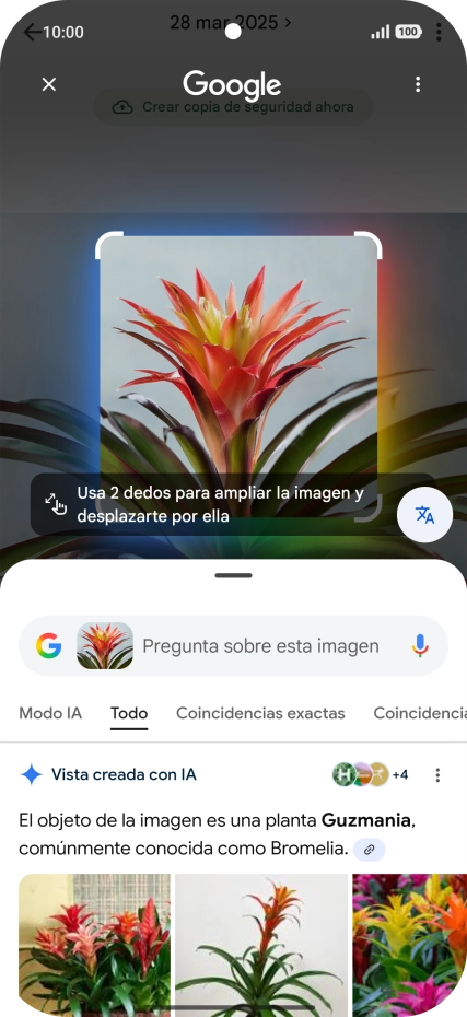 Sigue las indicaciones de la pantalla para utilizar los resultados de búsqueda.