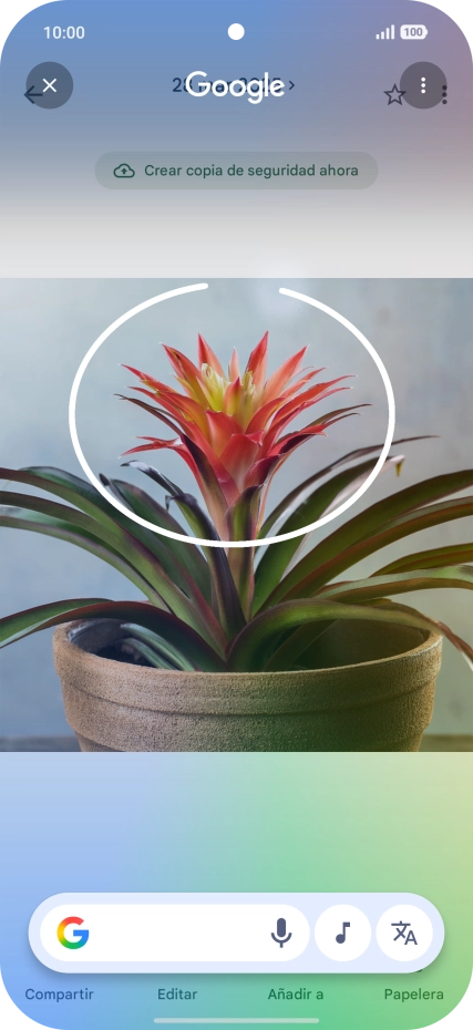 Rodea con un círculo el elemento deseado de la fotografía y espera a que aparezcan los resultados de búsqueda.