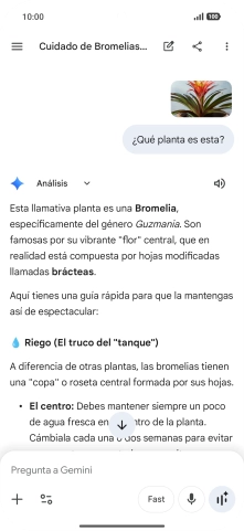 Sigue las indicaciones de la pantalla para escribir o decir en alto la pregunta deseada. Puedes adjuntar fotografías o documentos y hacer preguntas acerca de ellos.