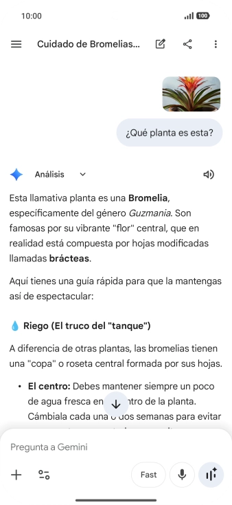 Sigue las indicaciones de la pantalla para escribir o decir en alto la pregunta deseada. Puedes adjuntar fotografías o documentos y hacer preguntas acerca de ellos.