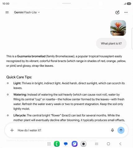 Follow the instructions on the screen to type or speak more questions to continue the conversation.