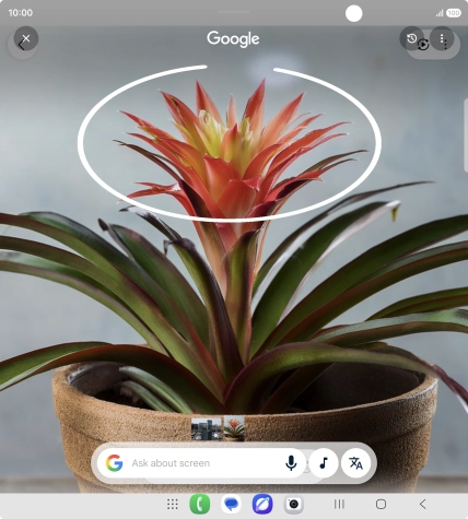 Draw a circle around the required object on the picture and wait for the search results. Draw a circle around the required object on the picture and wait for the search results.