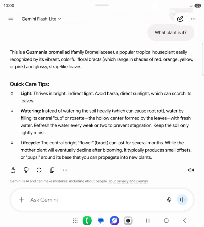 Follow the instructions on the screen to type or speak the required question. You can also attach pictures or documents and ask questions to them.