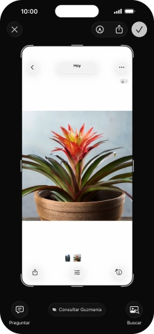 Para utilizar la inteligencia visual mediante un pantallazo, haz un pantallazo y sigue las indicaciones de la pantalla para utilizar la función.