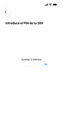 Si es necesario desbloquear la tarjeta SIM, introduce el código PIN y pulsa OK.