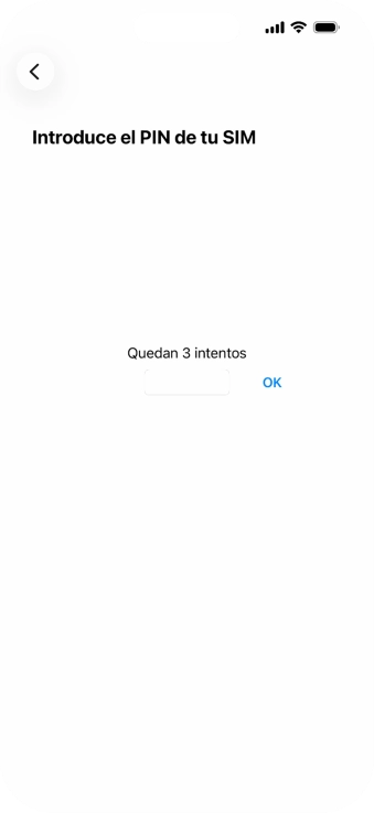 Si es necesario desbloquear la tarjeta SIM, introduce el código PIN y pulsa OK.