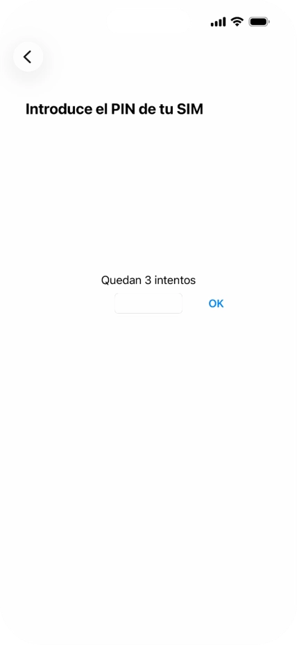 Si es necesario desbloquear la tarjeta SIM, introduce el código PIN y pulsa OK.