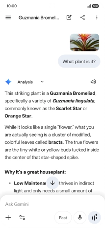 Follow the instructions on the screen to type or speak the required question. You can also attach pictures or documents and ask questions to them.