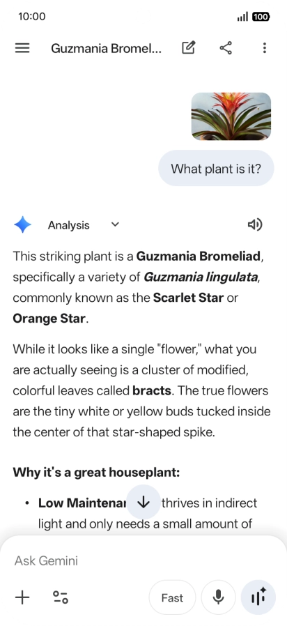 Follow the instructions on the screen to type or speak the required question. You can also attach pictures or documents and ask questions to them.
