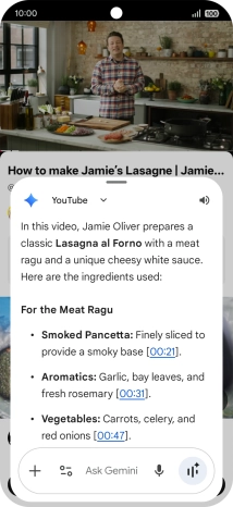 The answer from Gemini to your question is displayed.