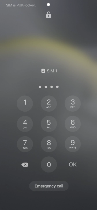 Key in a new four-digit PIN and press OK.