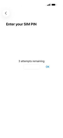 If your SIM is locked, key in your PIN and press OK.