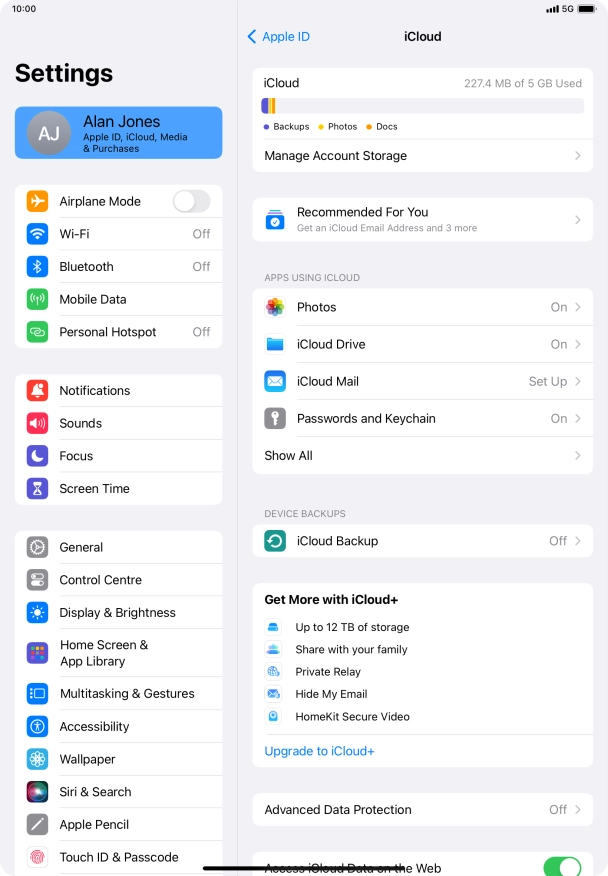 Press iCloud Backup.