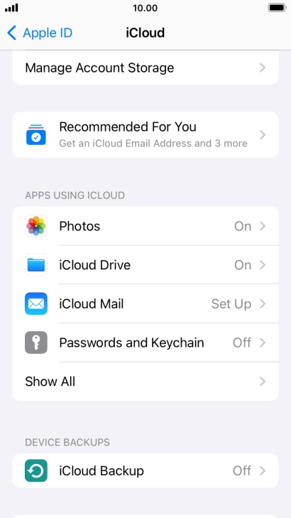 Press iCloud Backup.