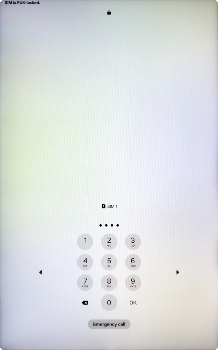 Key in a new four-digit PIN and press OK.