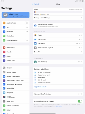 Press iCloud Backup.