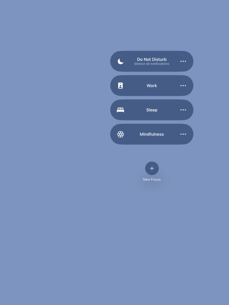 Press the required focus mode to activate or deactivate it immediately.