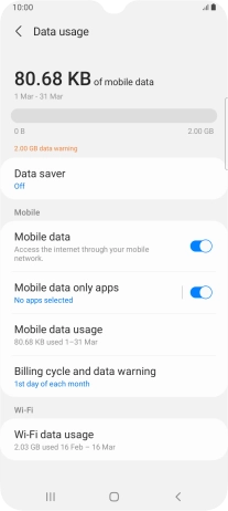 The total data usage is displayed. The total data usage is displayed.