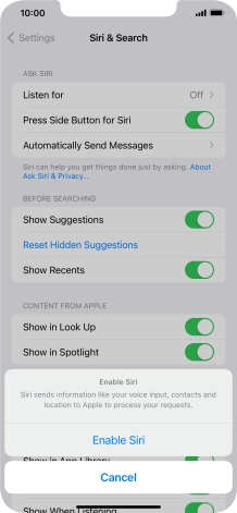 Press Enable Siri. Press Enable Siri.
