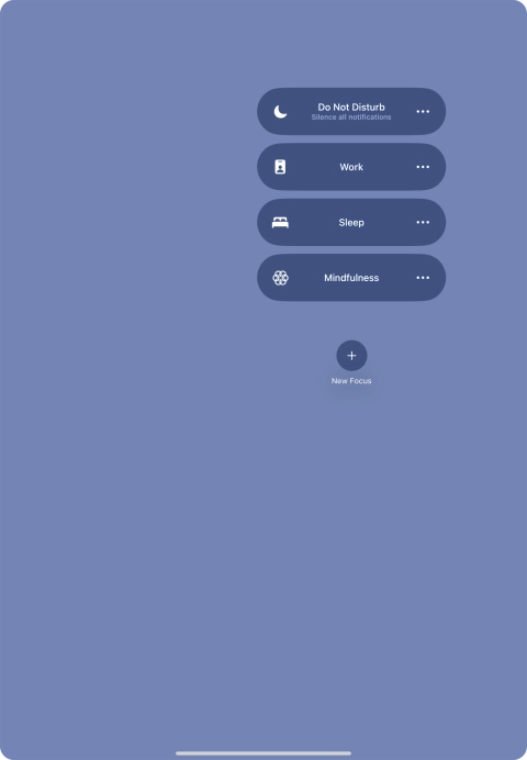 Press the required focus mode to activate or deactivate it immediately.