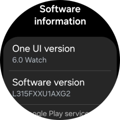 The software version of your smartwatch is displayed below Software version. The software version of your smartwatch is displayed below Software version.