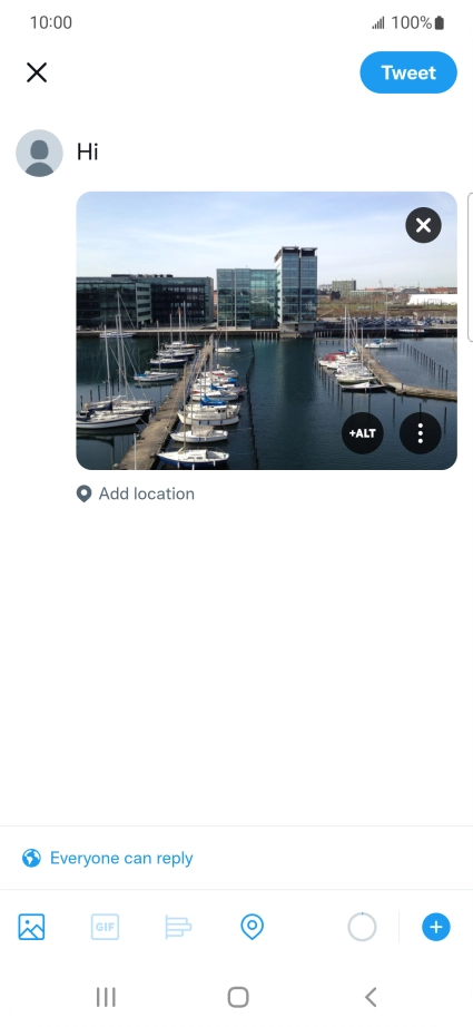 Write the required text and press Tweet.
